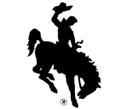 Wyoming's Bucking Horse and Rider (BH&R)