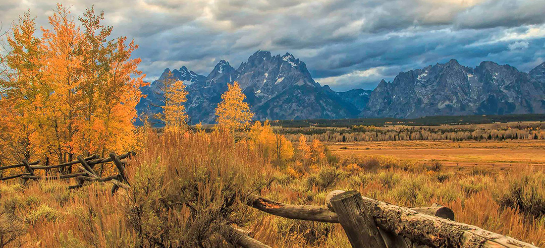 Need to dissolve an entity?