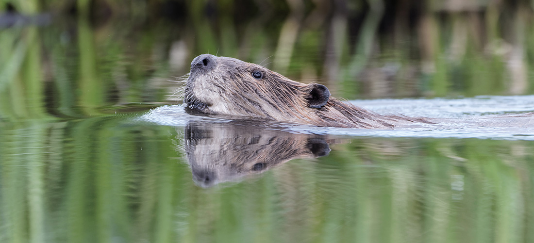 April is Financial Literacy Month!