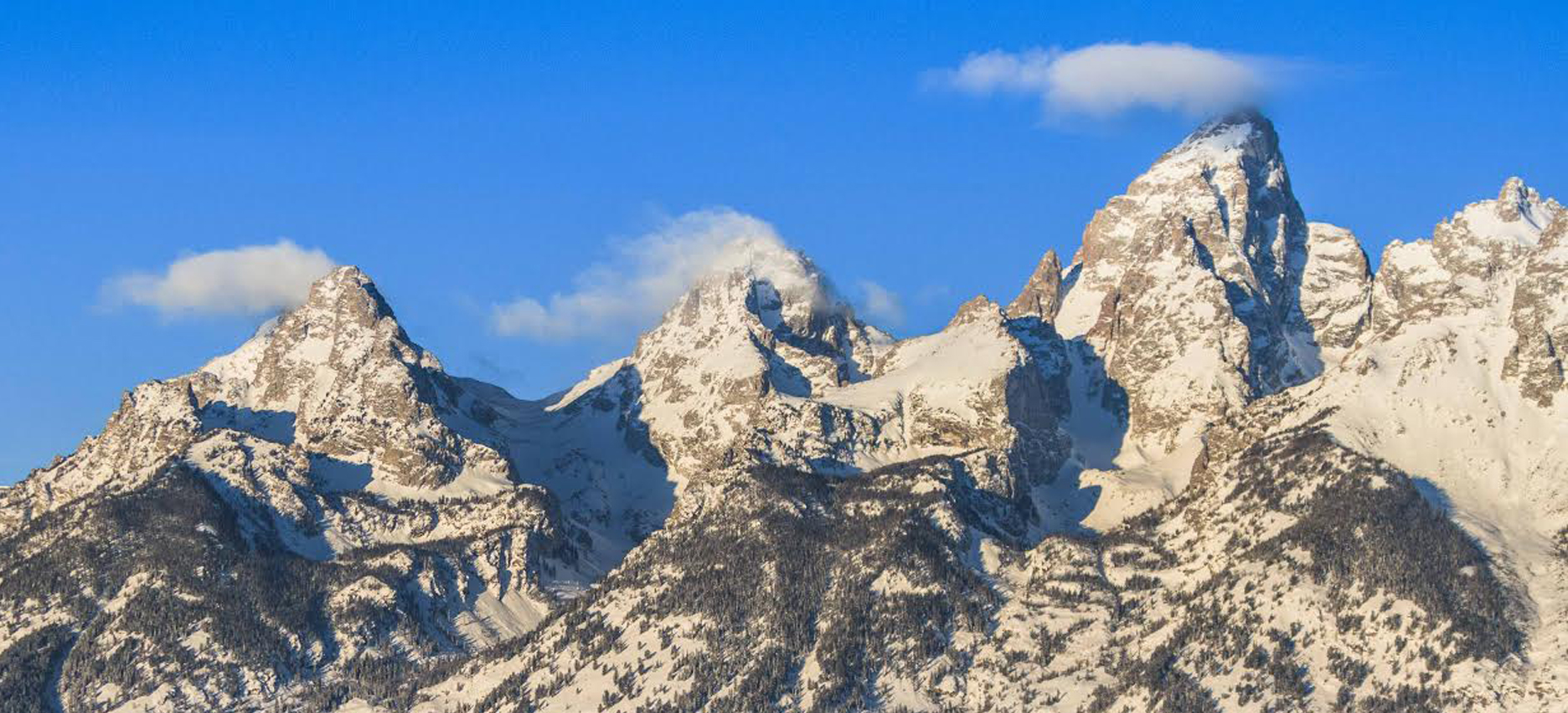 How to Create a Wyoming Company